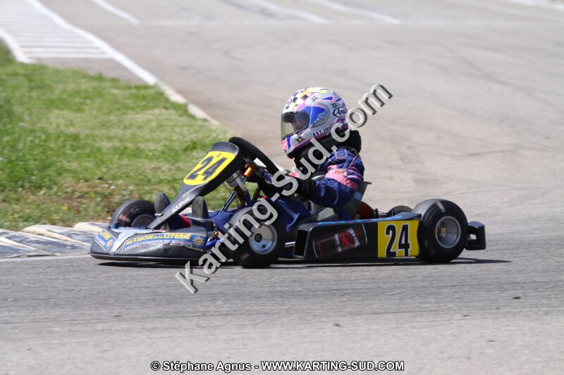 20110501_ales_agnus (2427).JPG